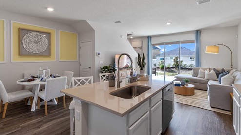 Kitchen island overlooking the dining room and living room