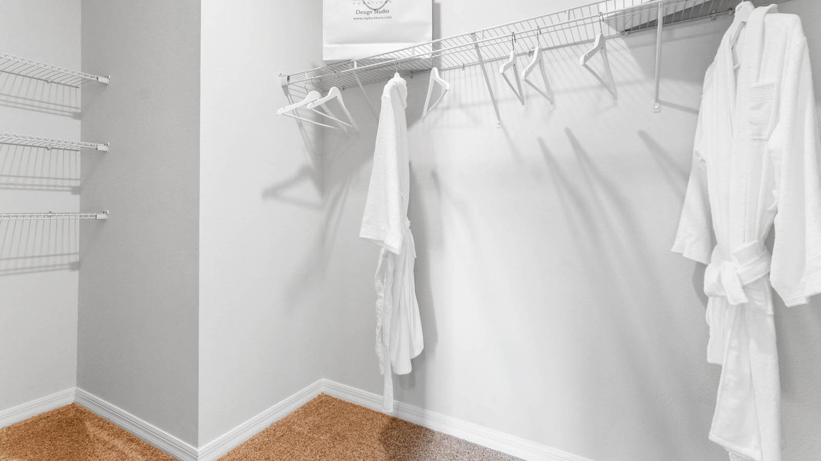 walk in closet with carpet