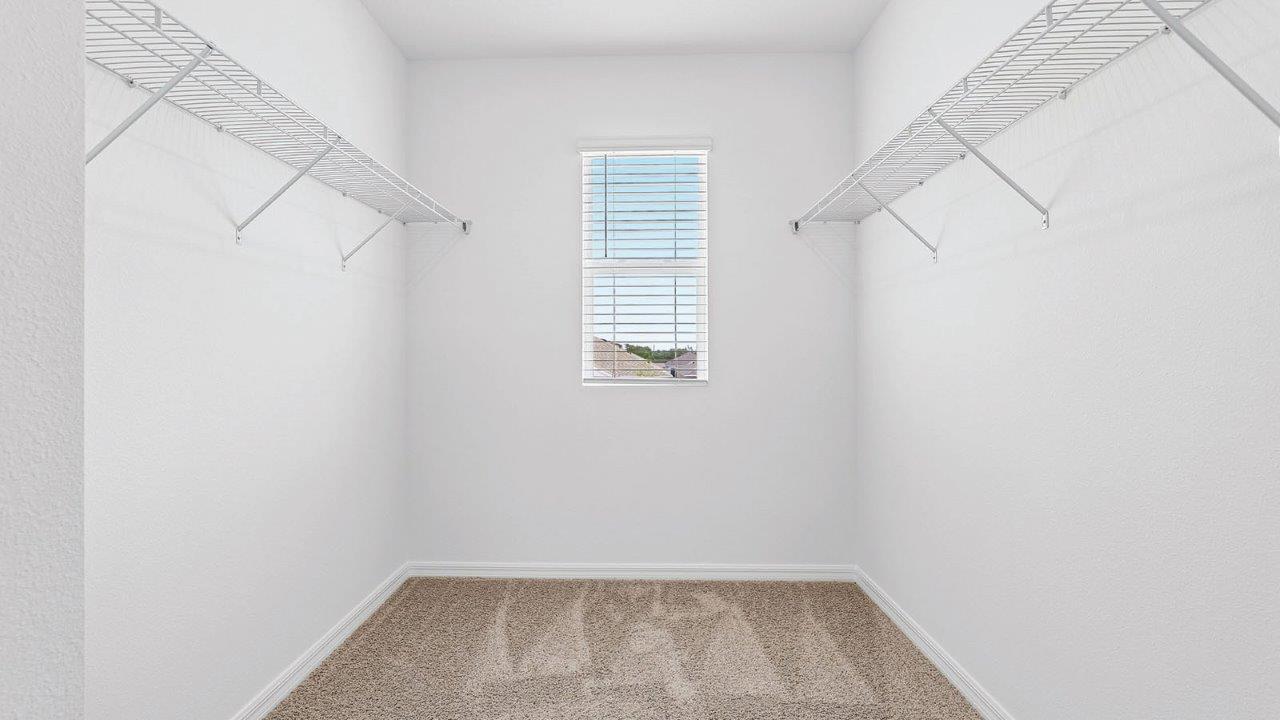 Primary bedroom walk-in closet with shelving