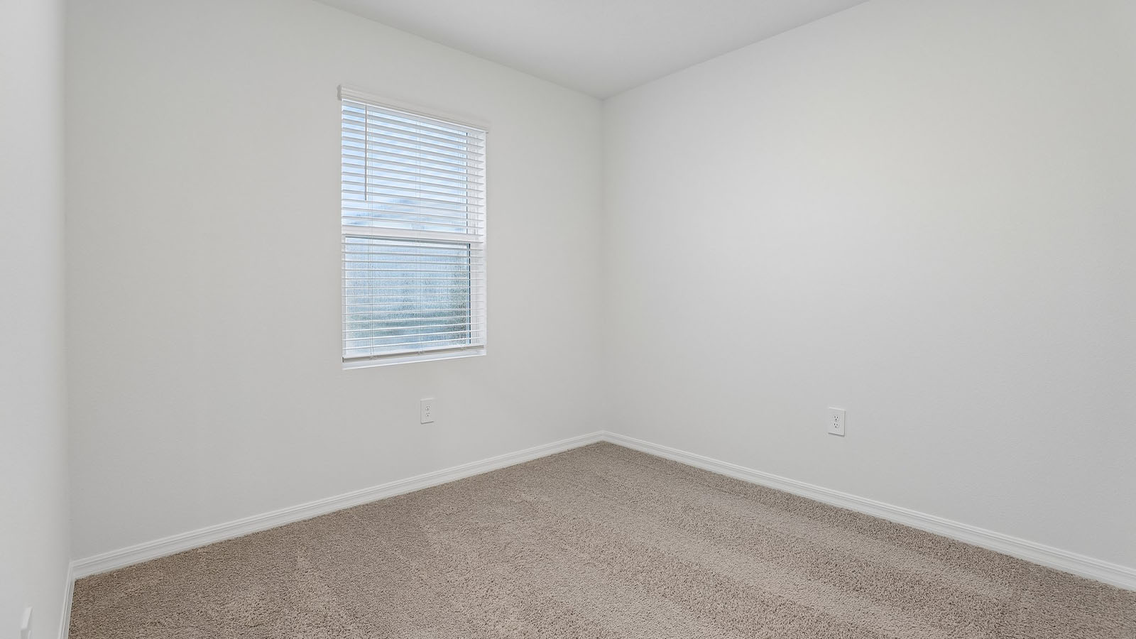 Downstairs guest bedroom with carpet