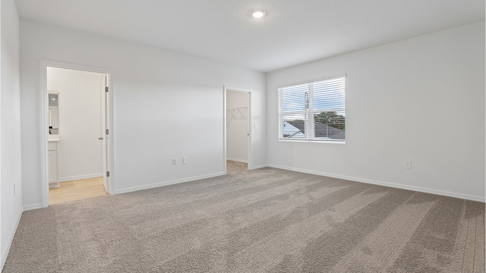 Primary bedroom with carpet throughout