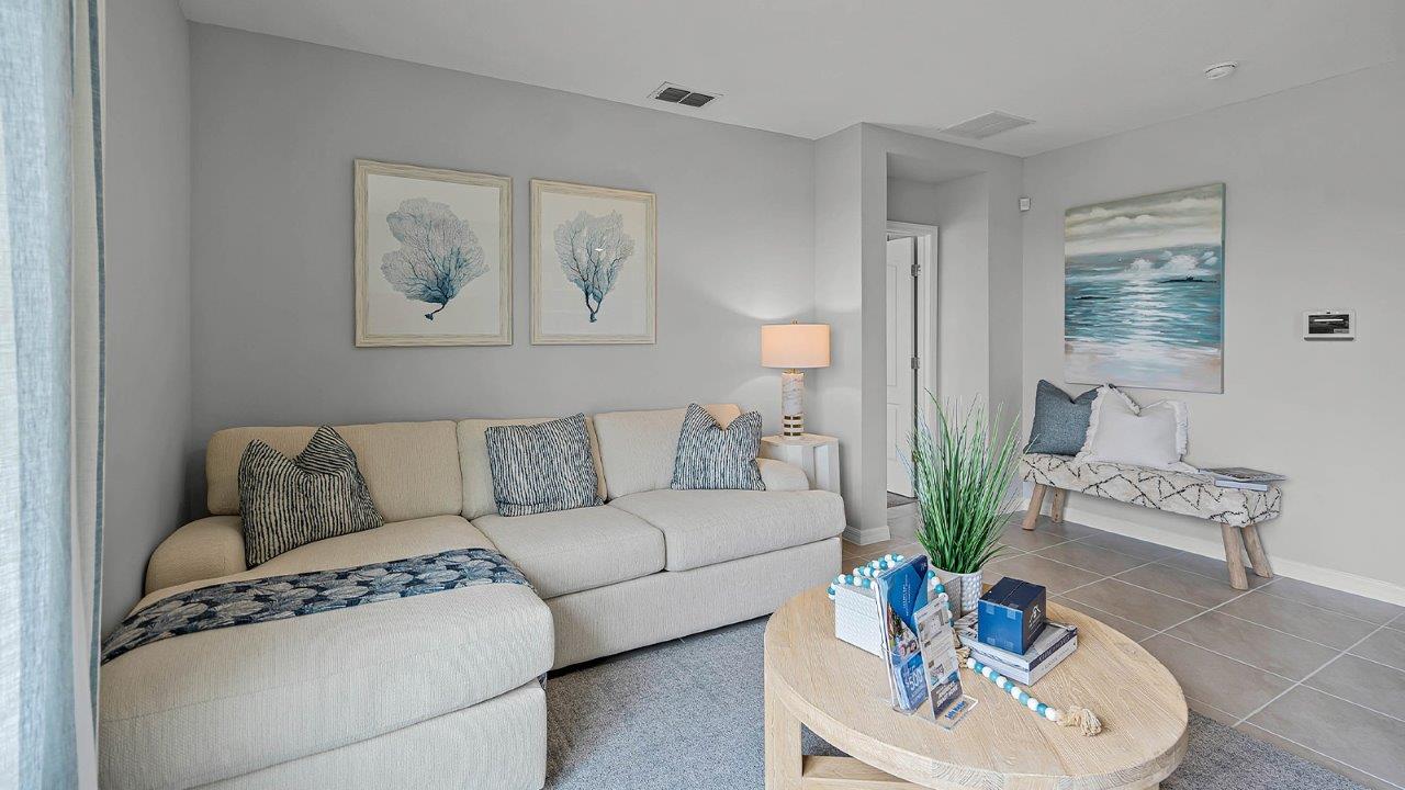 Couch in the living room