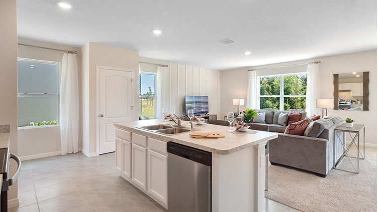 Kitchen island overlooking living room