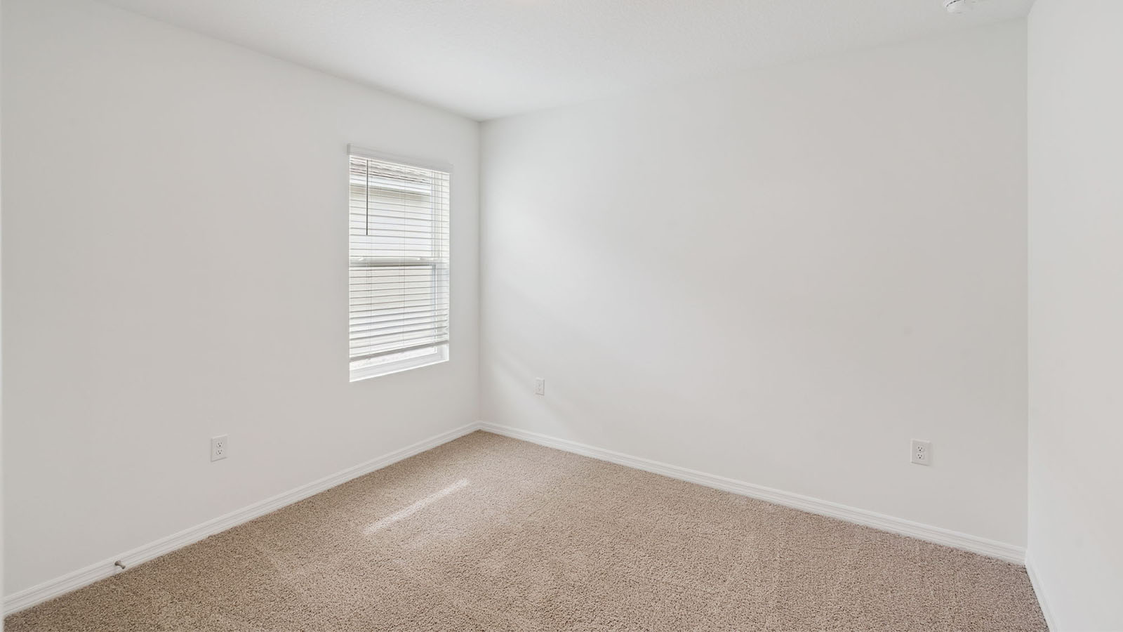 Guest room with carpet flooring