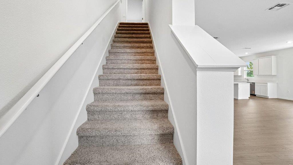 Stairs with carpet