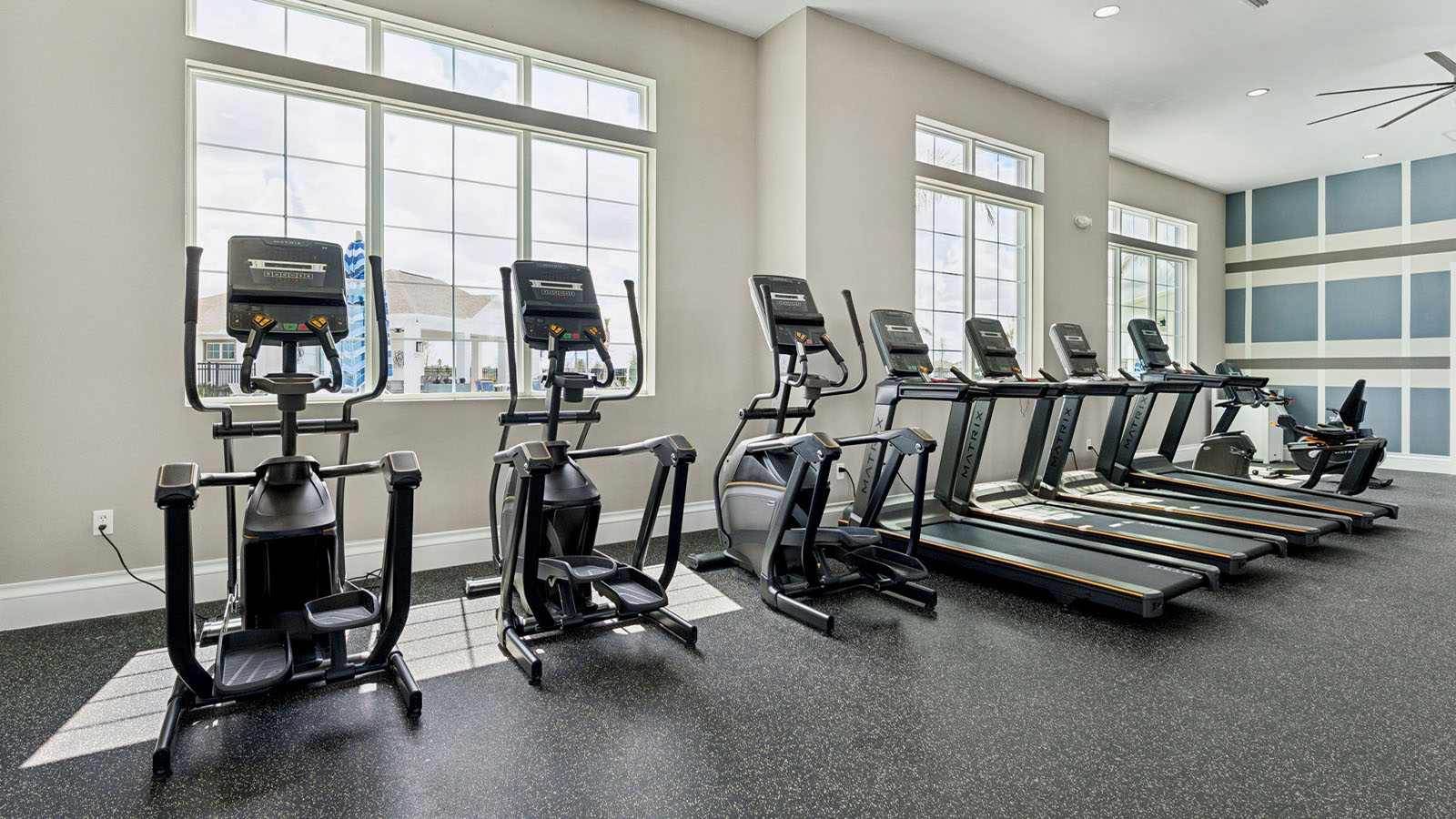 Gym with cardio equipment and weights