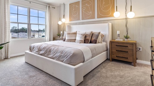 Primary bedroom with king size bed and two windows