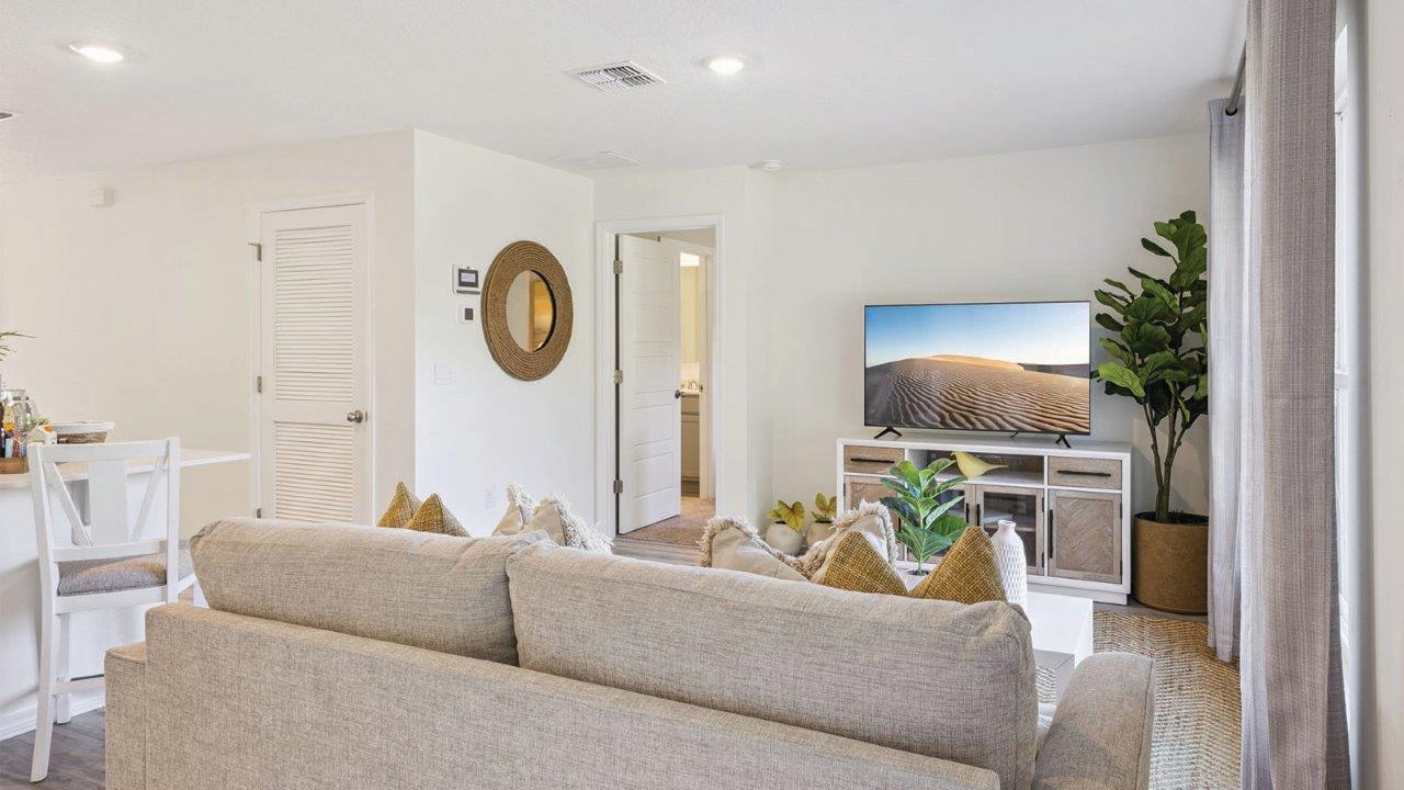 Living Room couch
