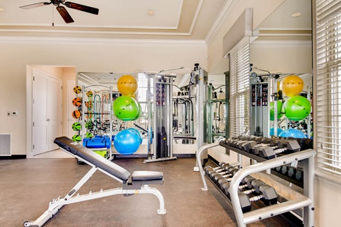 Gym equipment with free weights