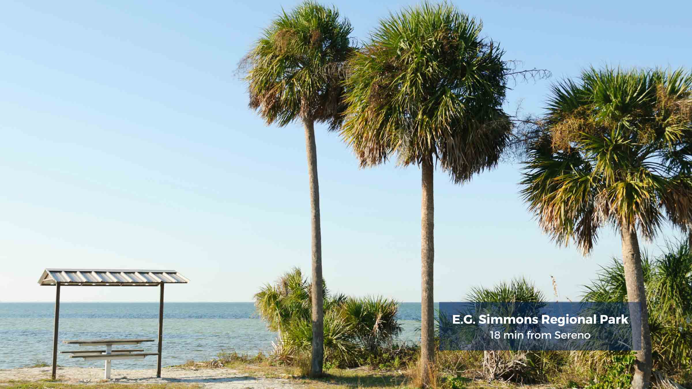 New Homes in Sereno Wimauma, FL D.R. Horton