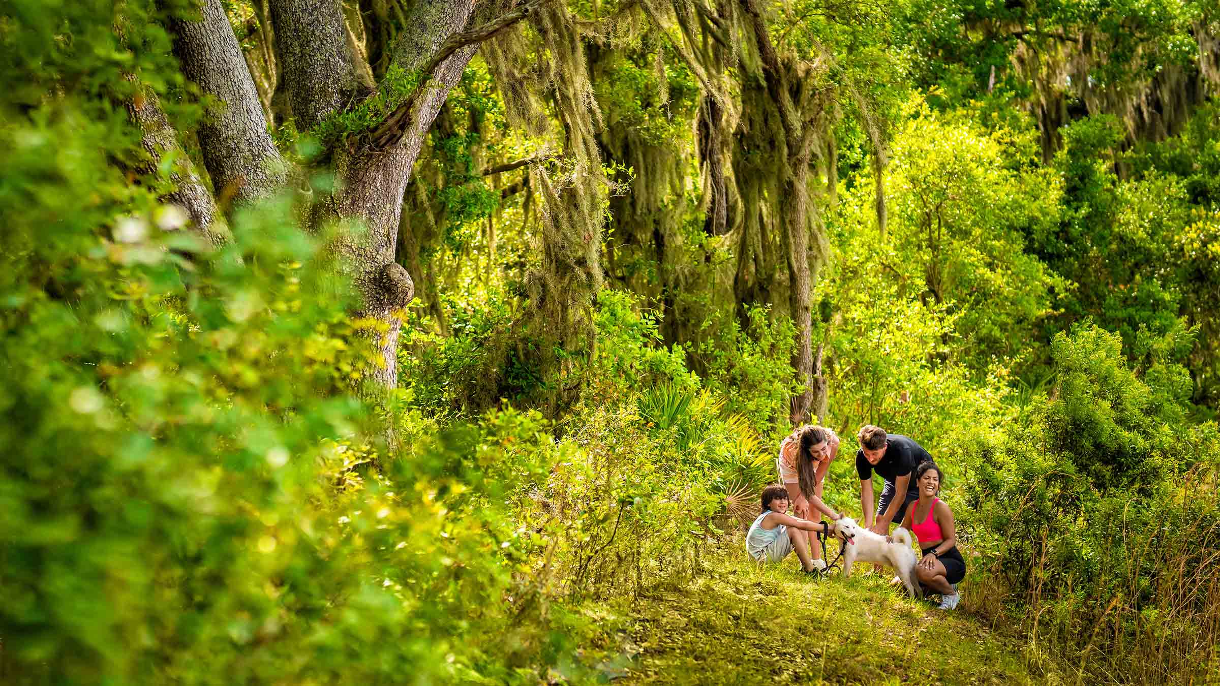 New Homes in Southshore Bay Townhomes WIMAUMA, FL D.R. Horton