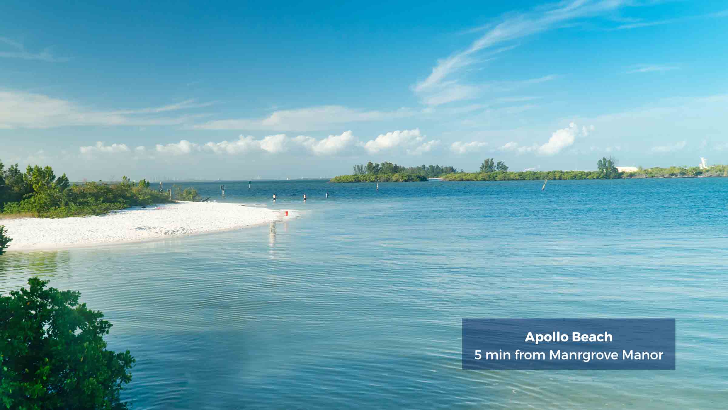 New Homes in Mangrove Manor Apollo Beach, FL D.R. Horton