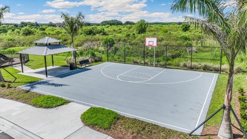 Basketball