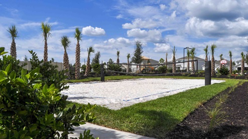 Beach Volleyball