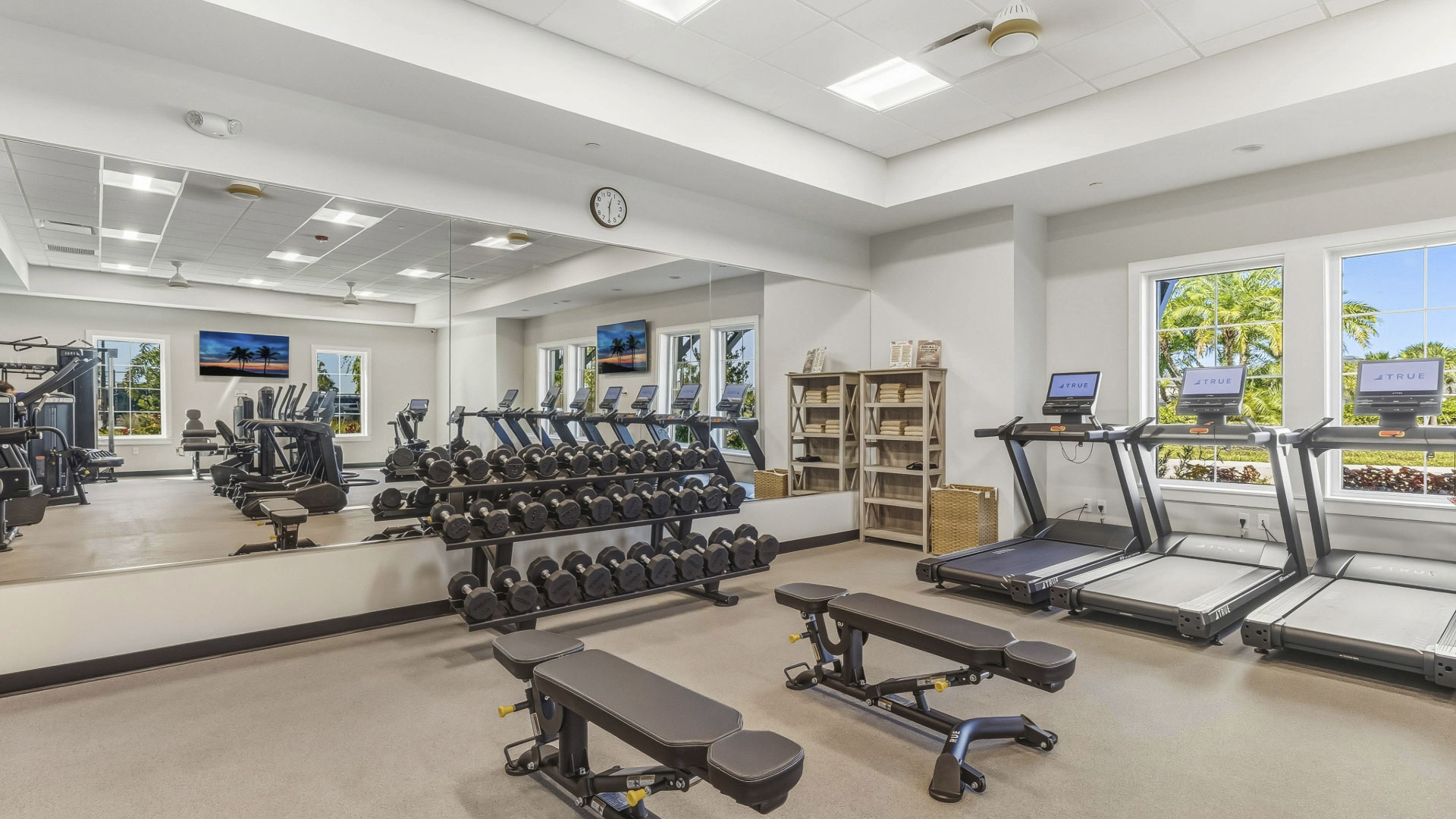 Active Adult Amenity