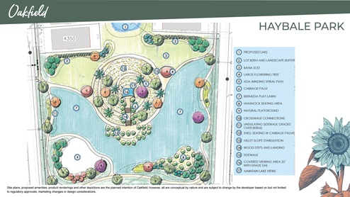 Amenity Plan