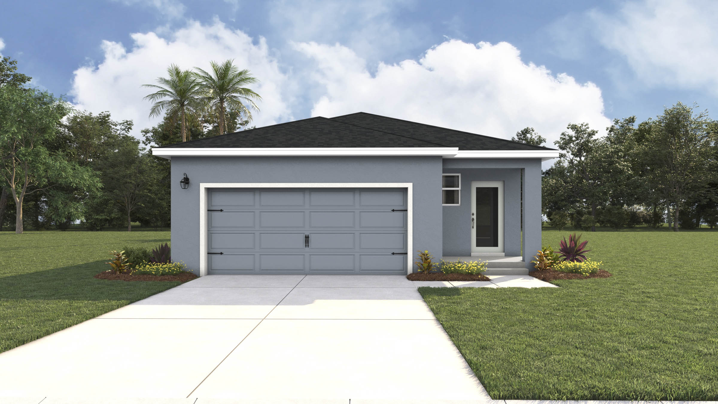 Back Elevation