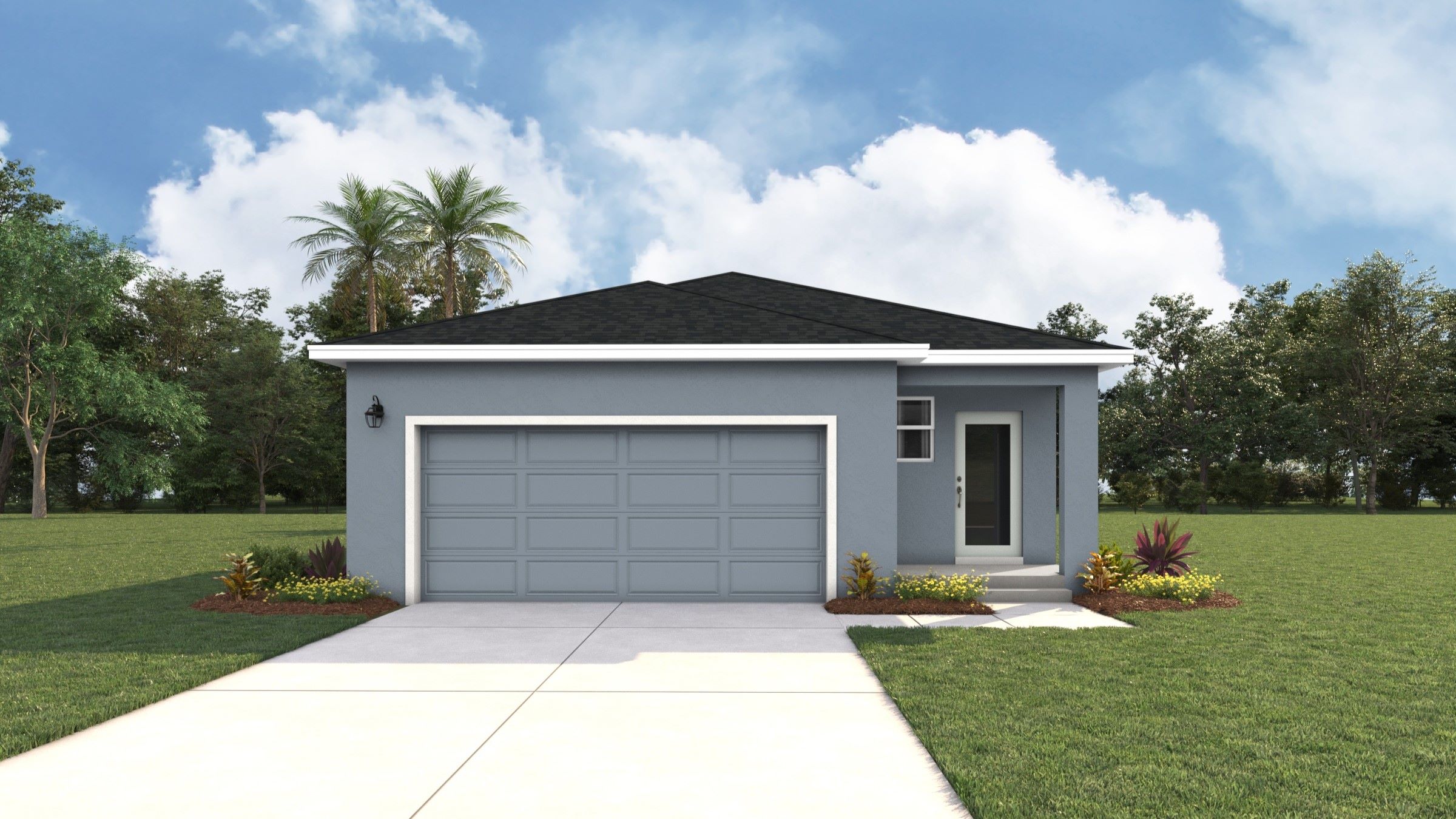 Back Elevation