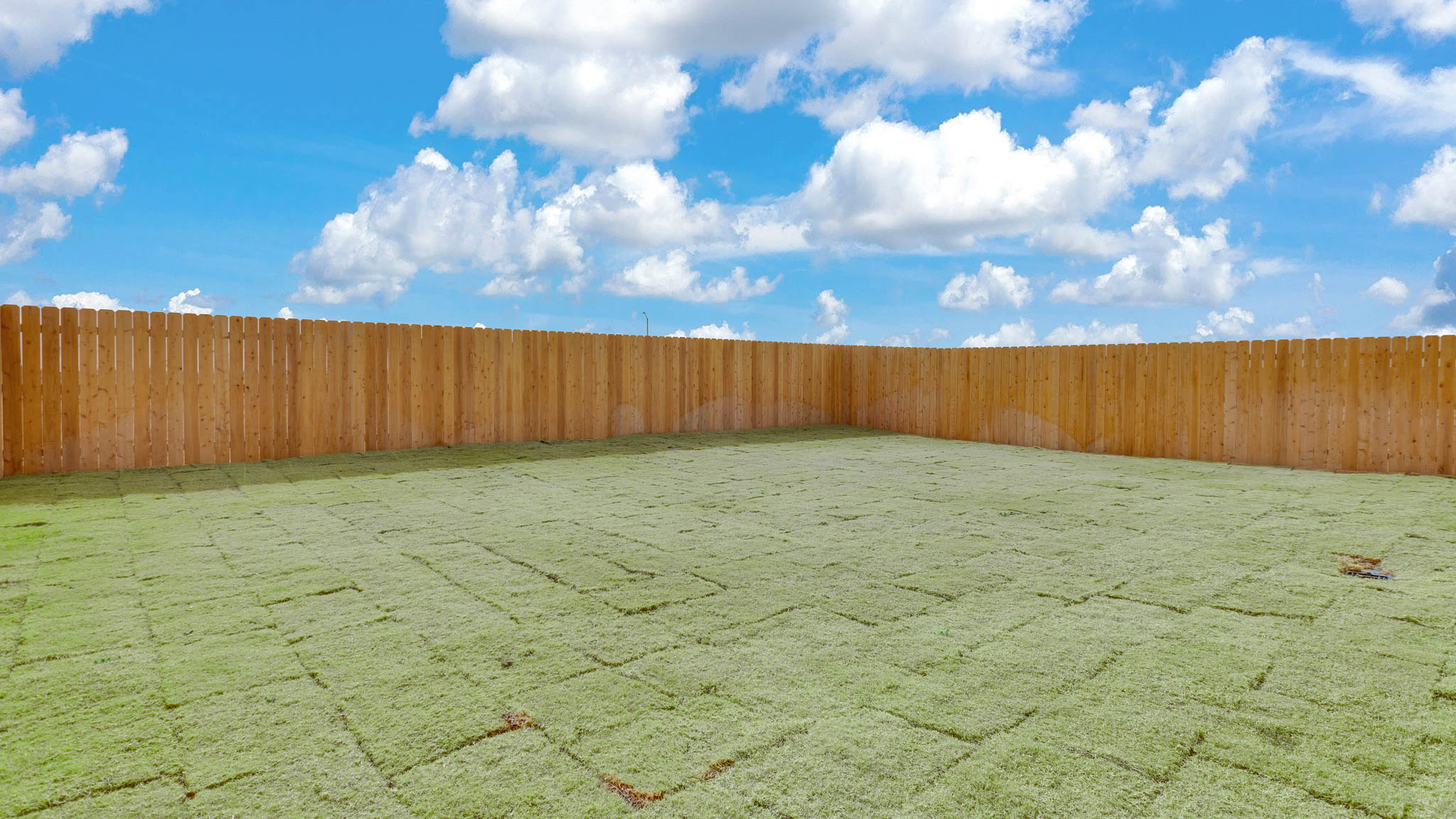 Overview of spacious private fenced-in backyard