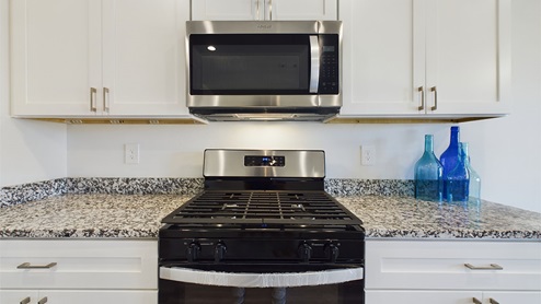 stainless steel appliances and gas range