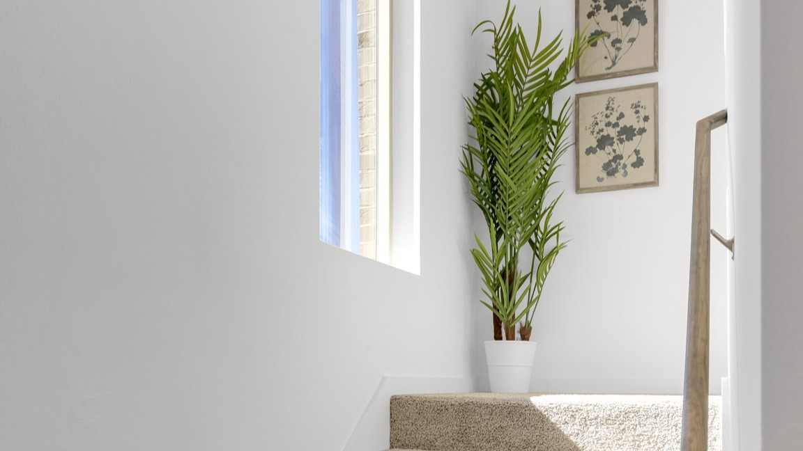 Stairs located on left side of entrance hallway