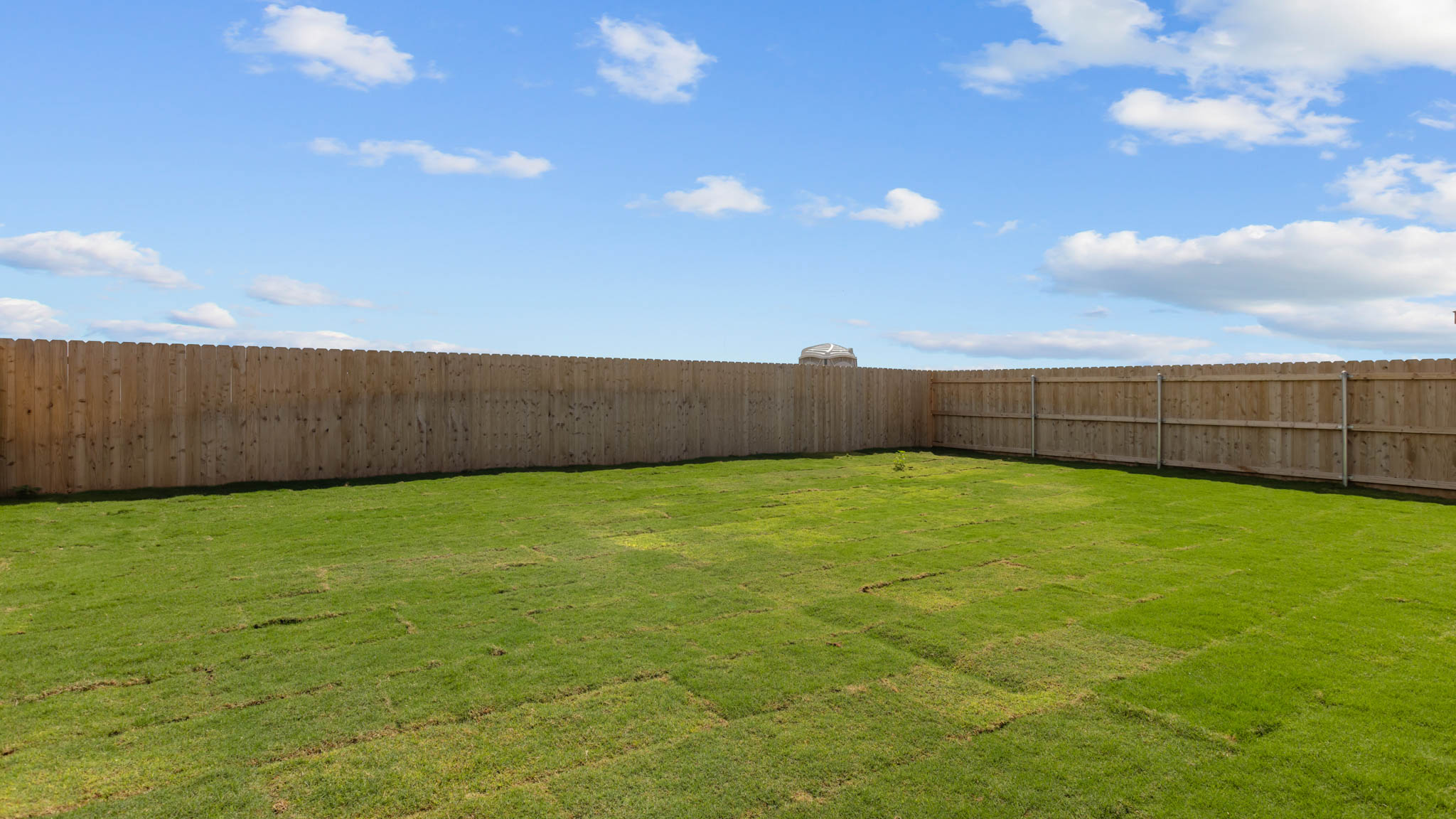 Spacious fenced-in backyard with plush green grass