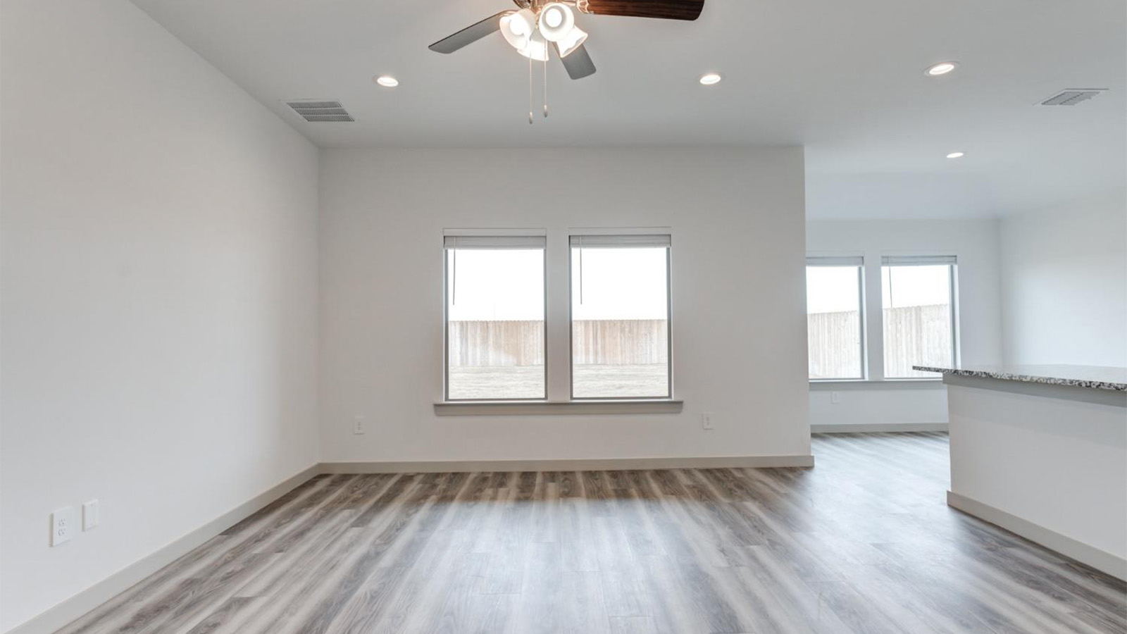 Living room facing back windows