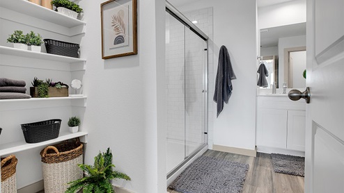 primary bathroom shelves and walk in shower