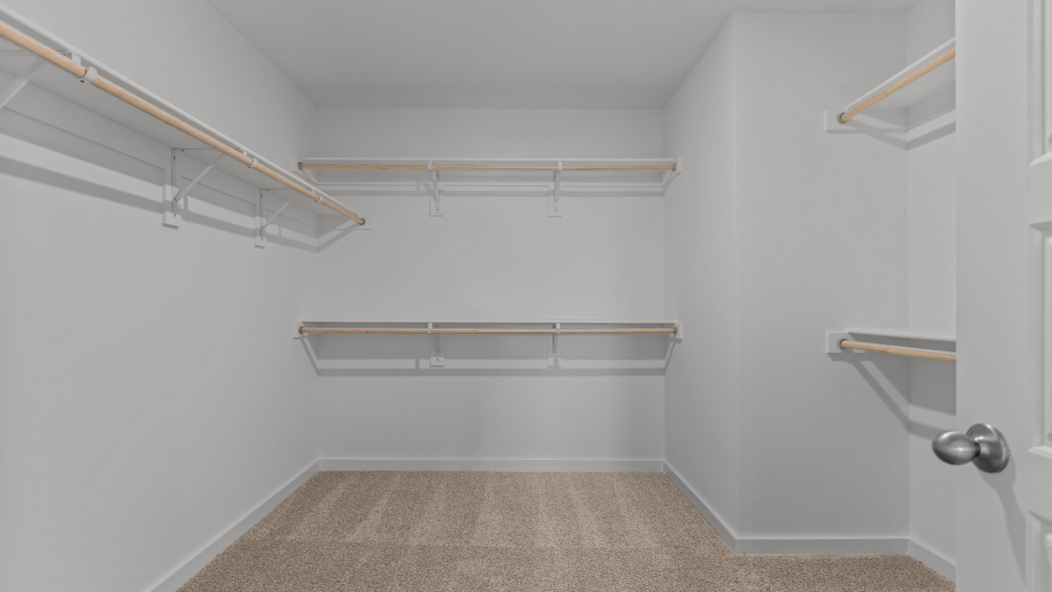 large walk-closet with wooden shelving and plush carpet