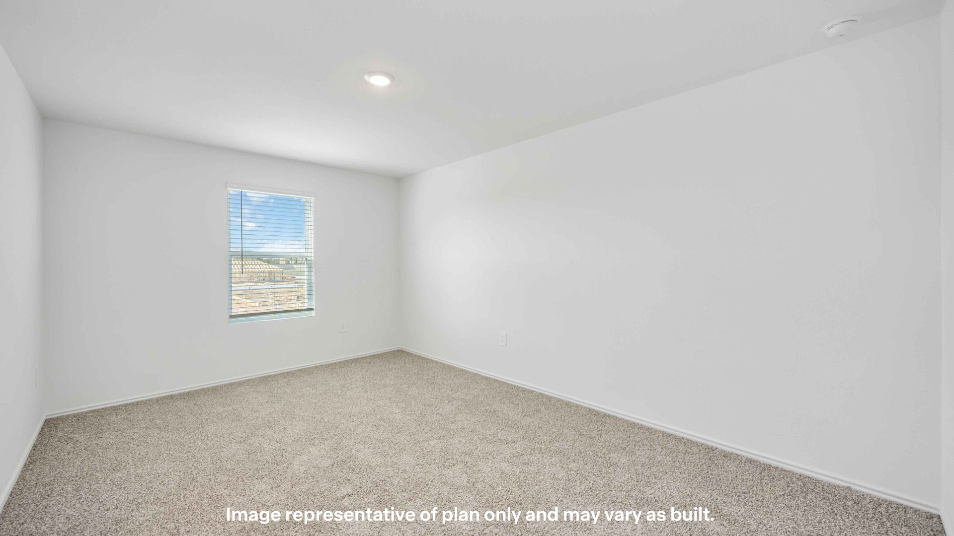 Primary bedroom with ample light and plush carpet floors