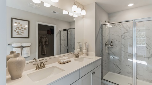 double vanity sink and glass standing shower