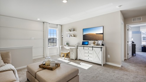 loft area used a flex tv and rec room