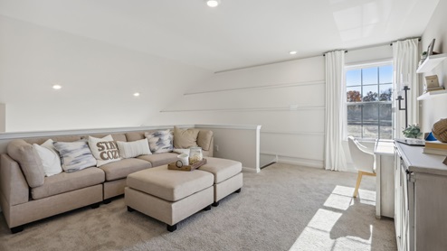 loft area used a flex tv and rec room
