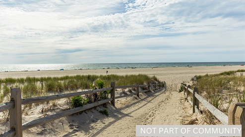 area photo of beach