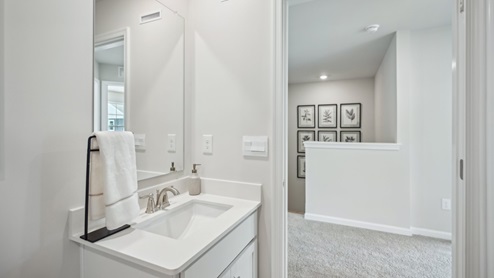 bathroom renovation