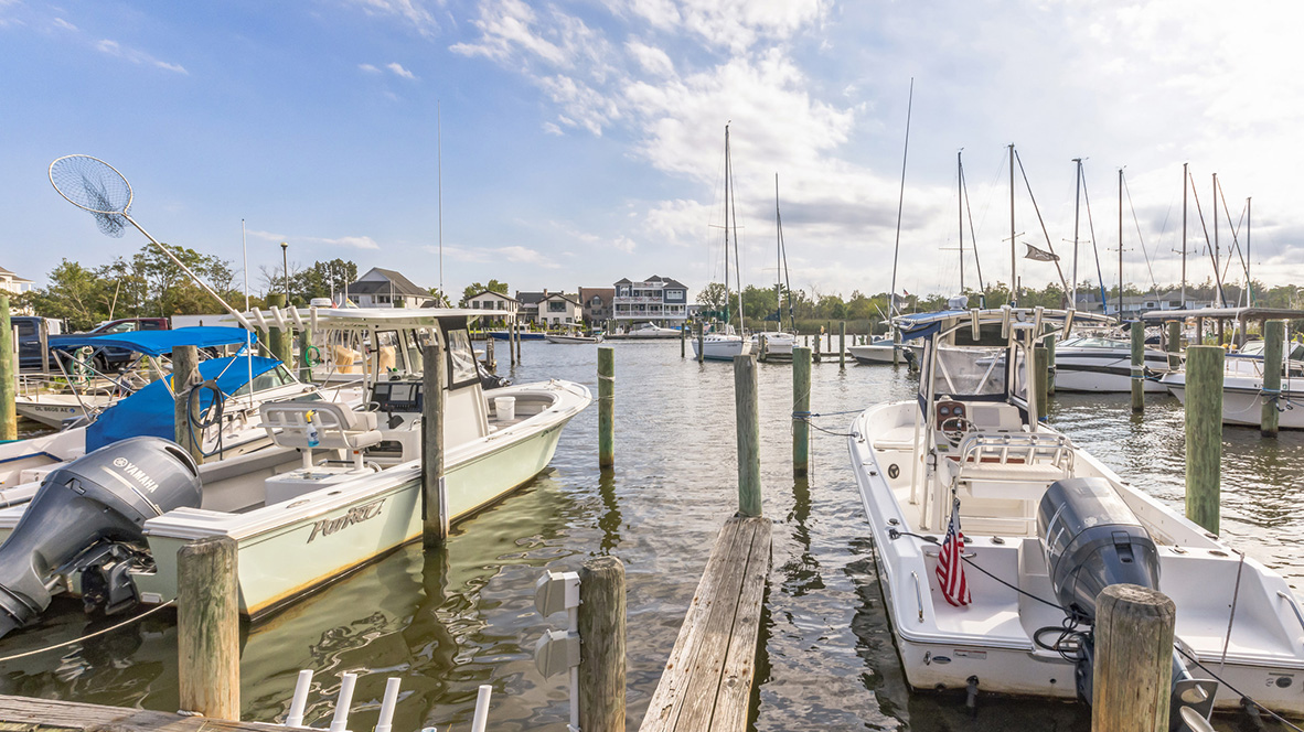area photography showcasing nearby Waretown's beach town