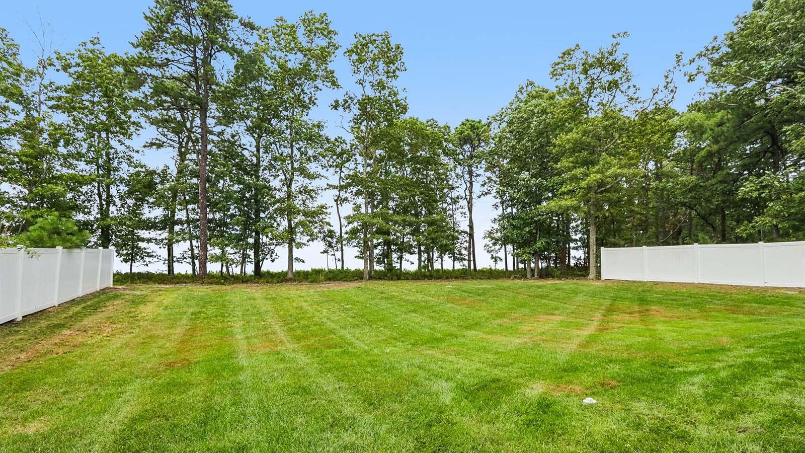 spacious backyard with ample green space, backing up to trees