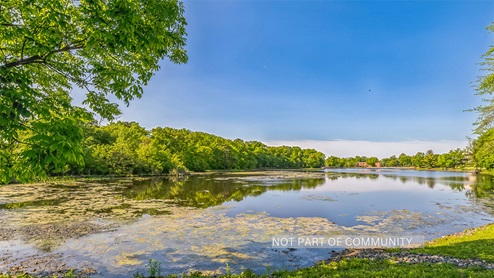 local park