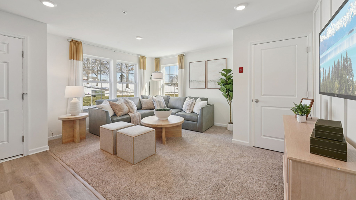 flex room with a modern living room design