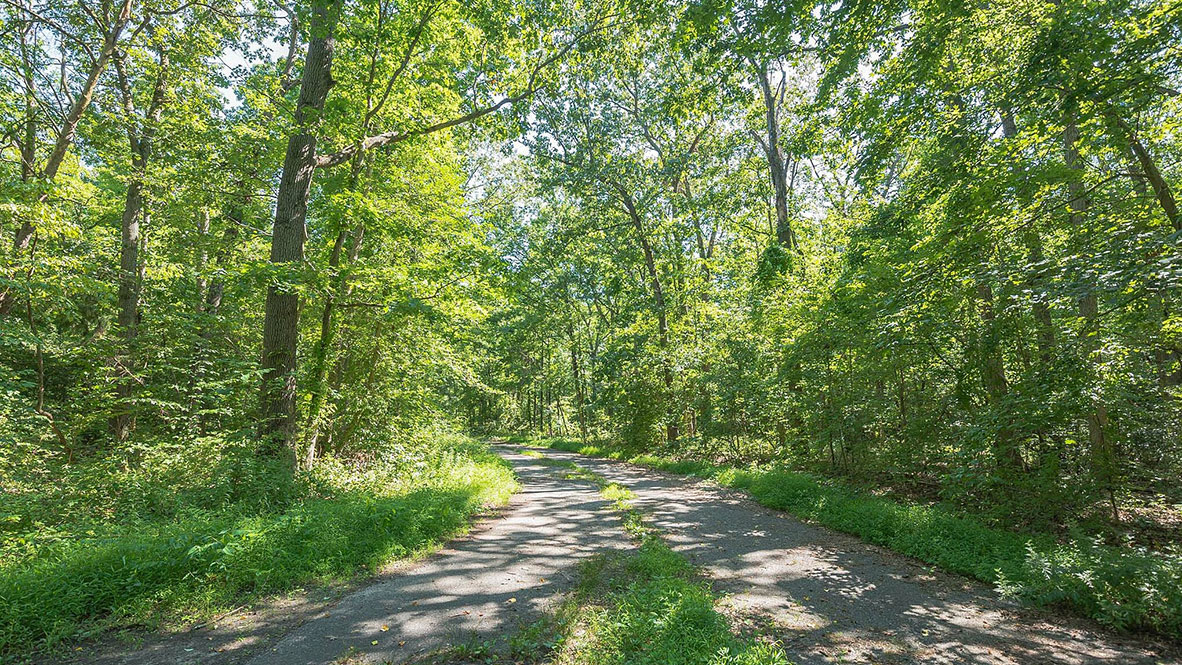 moorestown downtown area photos of a park