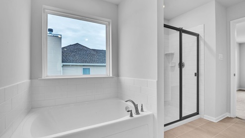 owner's suite bathroom
