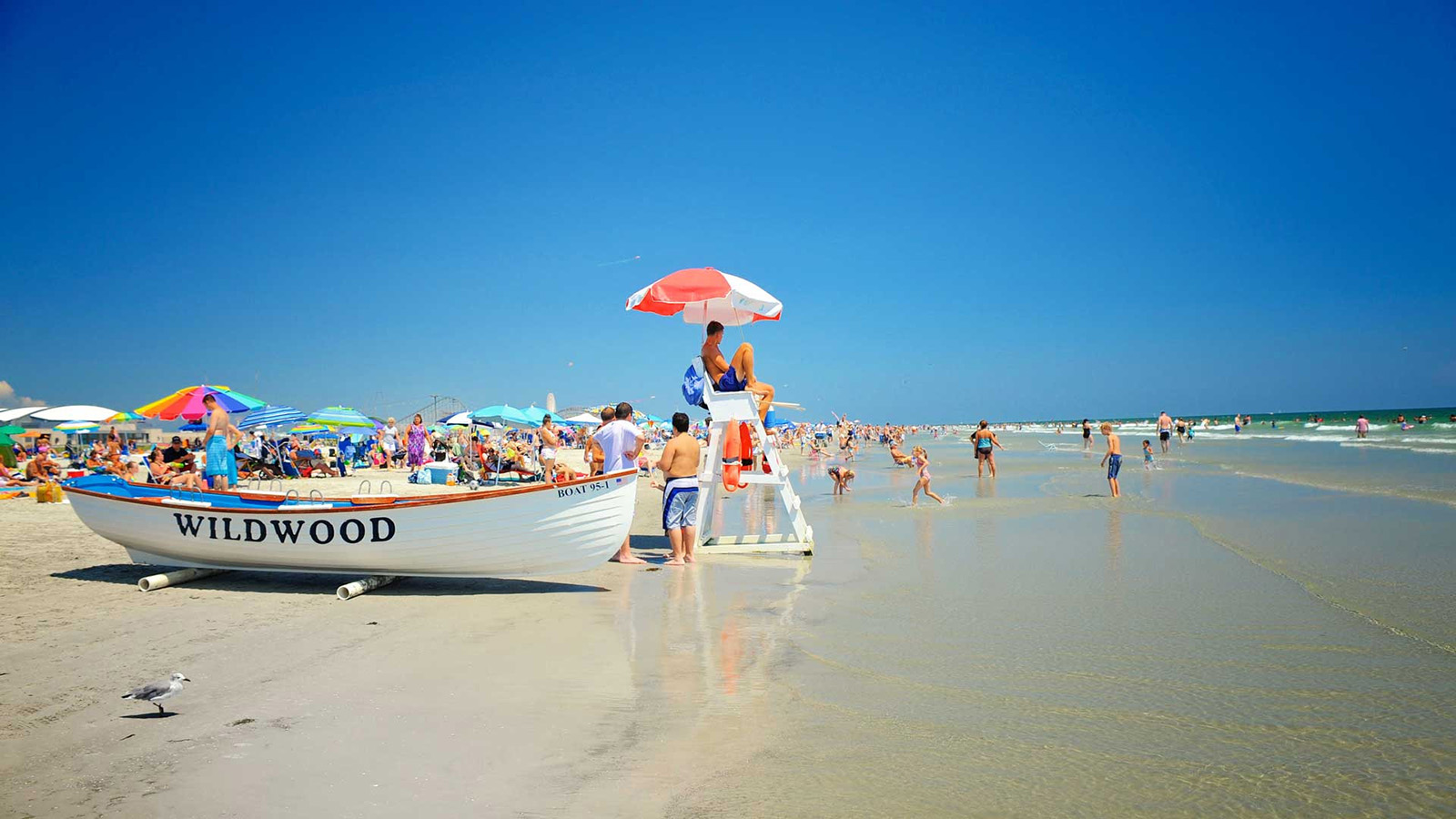 Wildwood Area Photos