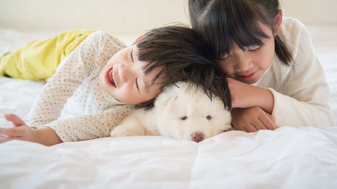 family photo with dog