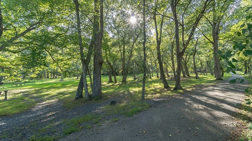 homes in Monmouth county