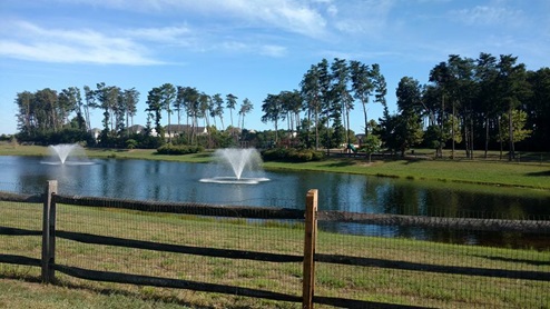 area photo