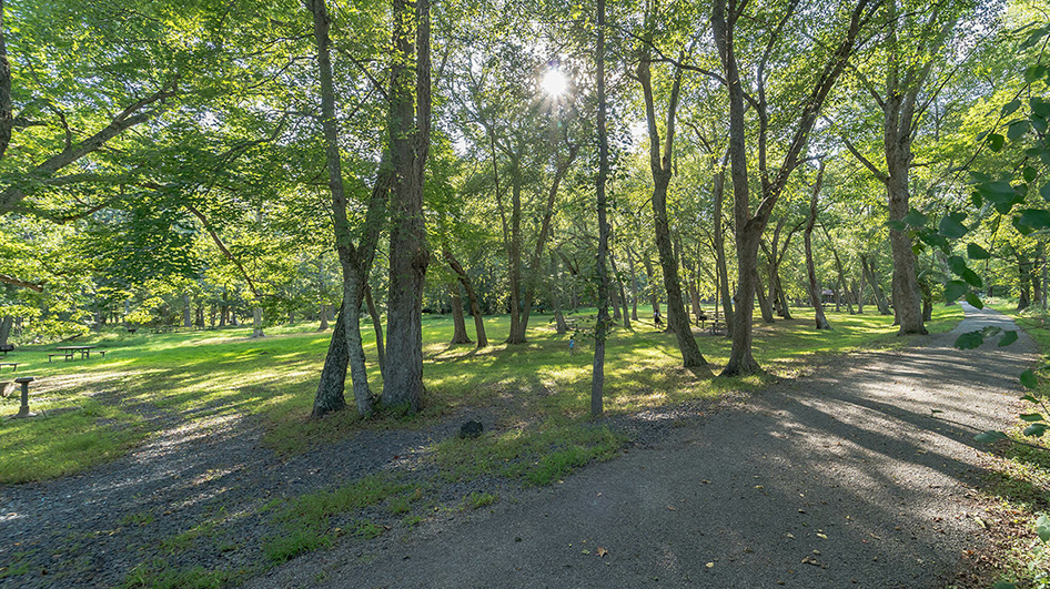 Monmouth county area photos of a nearby trail