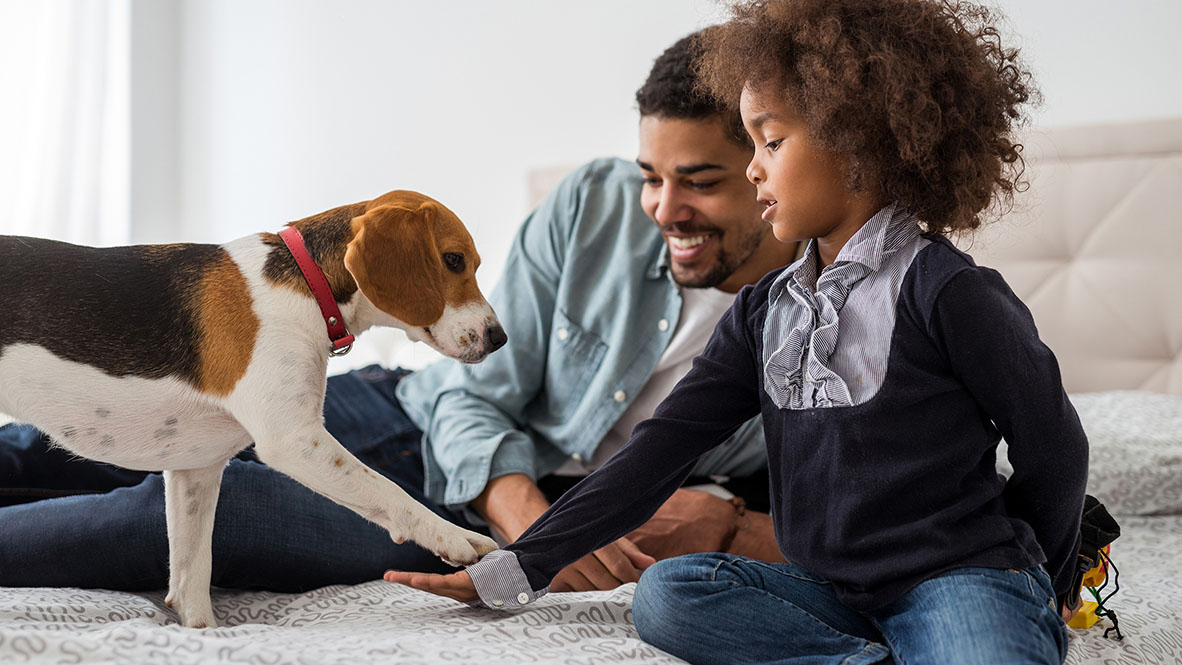 lifestyle photo of father and daughter playing with dog in their new home