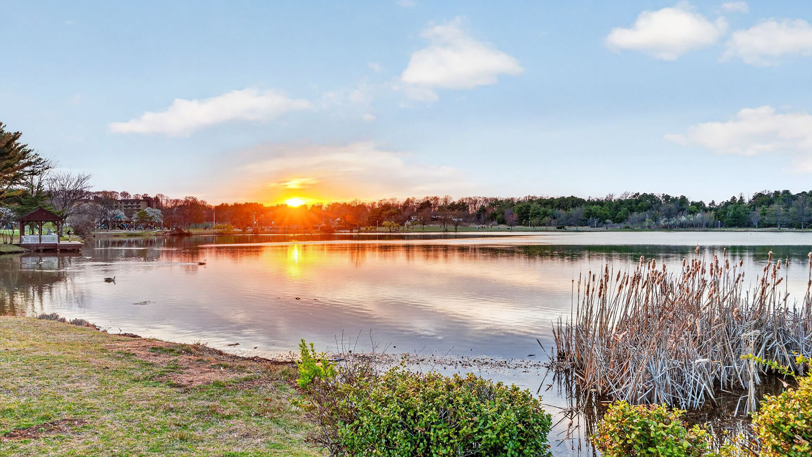 beautiful lifestyle photography of Sayreville, showcasing the beautiful l