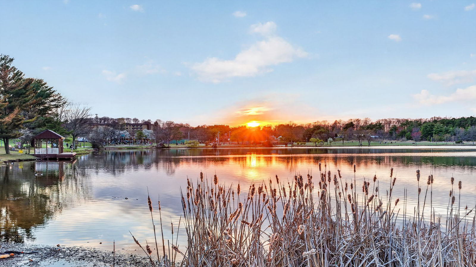 beautiful lifestyle photography of Sayreville, showcasing the beautiful l