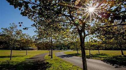 nearby park featuring a walking trail